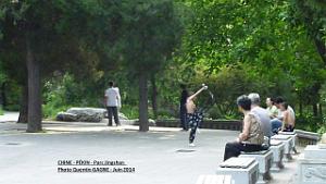 Pekin Jingshan 58